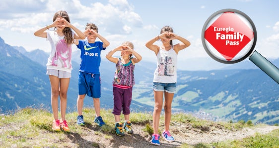 [external Link]: Cerca i vantaggi nell'Euregio