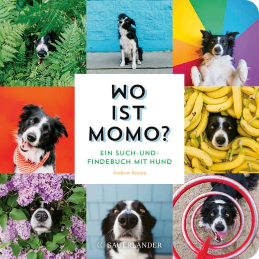 Wo ist Momo - Ein Such- und Findebuch mit Hund