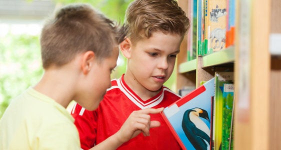 [external Link]: Bibliotheken