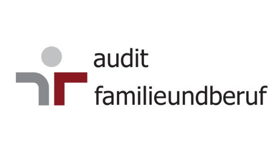 audit familienundberuf