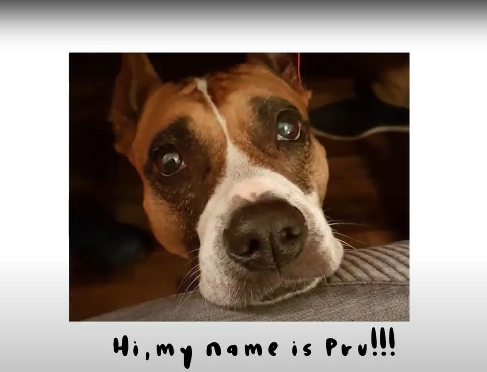 Case study card header image