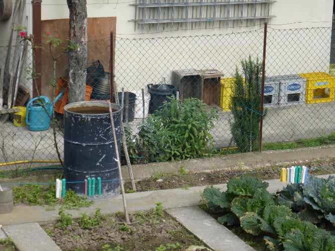 Regenwassertonne: regelmäßig (mindestens wöchentlich) ausleeren, verschließen oder mit einem feinmaschigen Netz (Mückennetz) abdecken. (Foto: Landesagentur für Umwelt und Klimaschutz)
