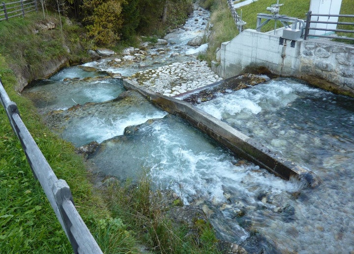 Fotogallery Naturnahe Bauweisen 