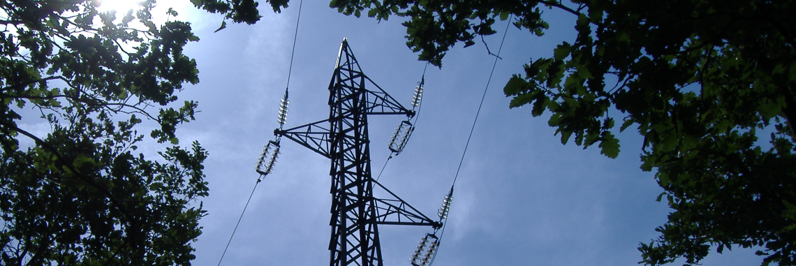 Hochspannungsleitung (Foto: Landesagentur für Umwelt und Klimaschutz)