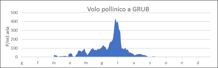 Volo pollinico a Grub/Valle Lunga. A Grub il volo pollinico avviene principalmente nel periodo da metà aprile a luglio. (Fonte: Agenzia provinciale per l'ambiente e la tutela del clima)