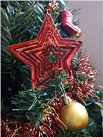 Buon Natale! (foto: Agenzia provinciale per l'ambiente e la tutela del clima)