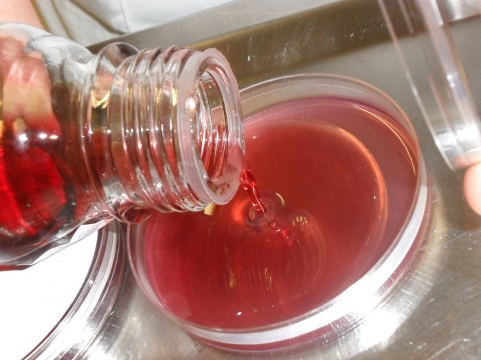 Mikrobiologische Untersuchung: Nährboden für mikrobiologische Analyse (Foto: Landesagentur für Umwelt und Klimaschutz)