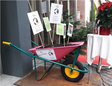 5. Dezember: „Internationaler Tag des Bodens“ (Foto: Landesagentur für Umwelt)