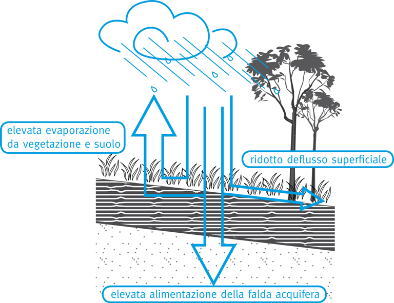  Fotogallery - Wasserhaushalt befestigter und unbefestigter Flächen