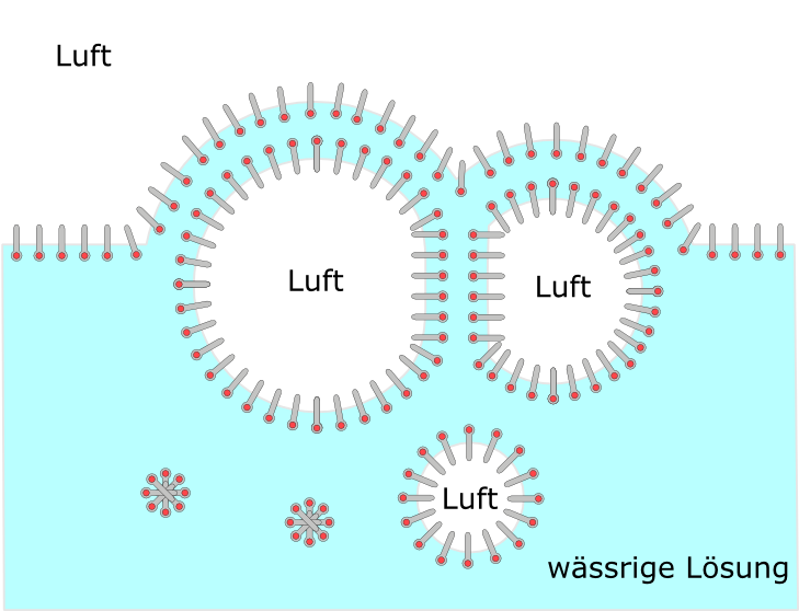 “Schaumbildung durch Tenside” (Quelle: Roland.chem, de.wikipedia. Bild gemäß GNU Free Documentation License  verwendet).