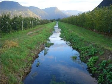 Fossa di Laives (Foto: Agenzia provinciale per l’ambiente e la tutela del clima)