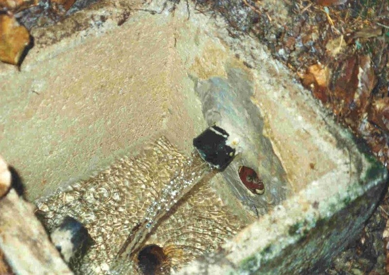 Bagni di Foiana - sorgente (Foto: Agenzia provinciale per l'ambiente e la tutela del clima)