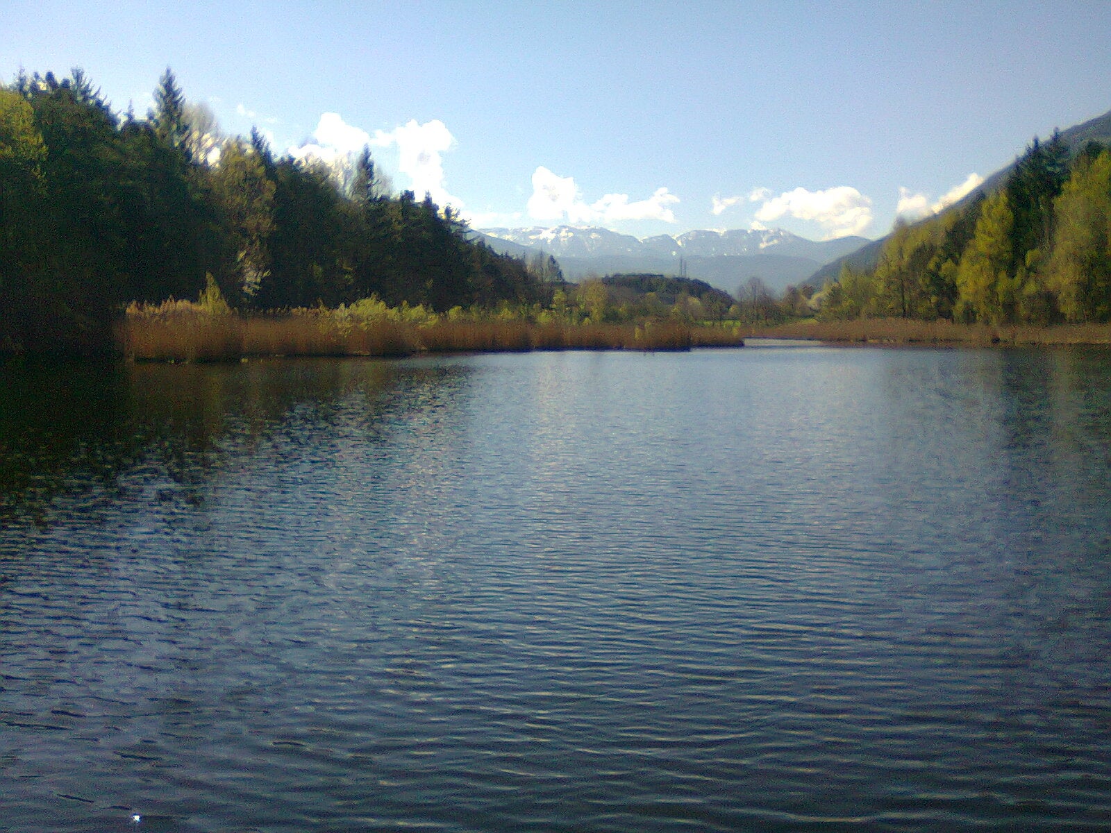 Vahrner See (Foto: Landesagentur für Umwelt und Klimaschutz)