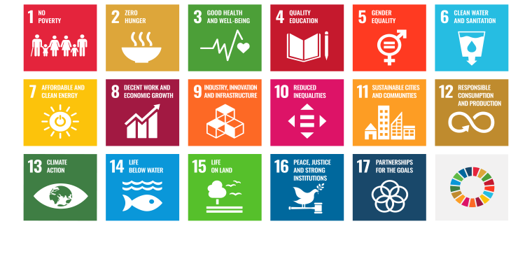 17 Ziele für nachhaltige Entwicklung (Quelle: © UN Communication Material)