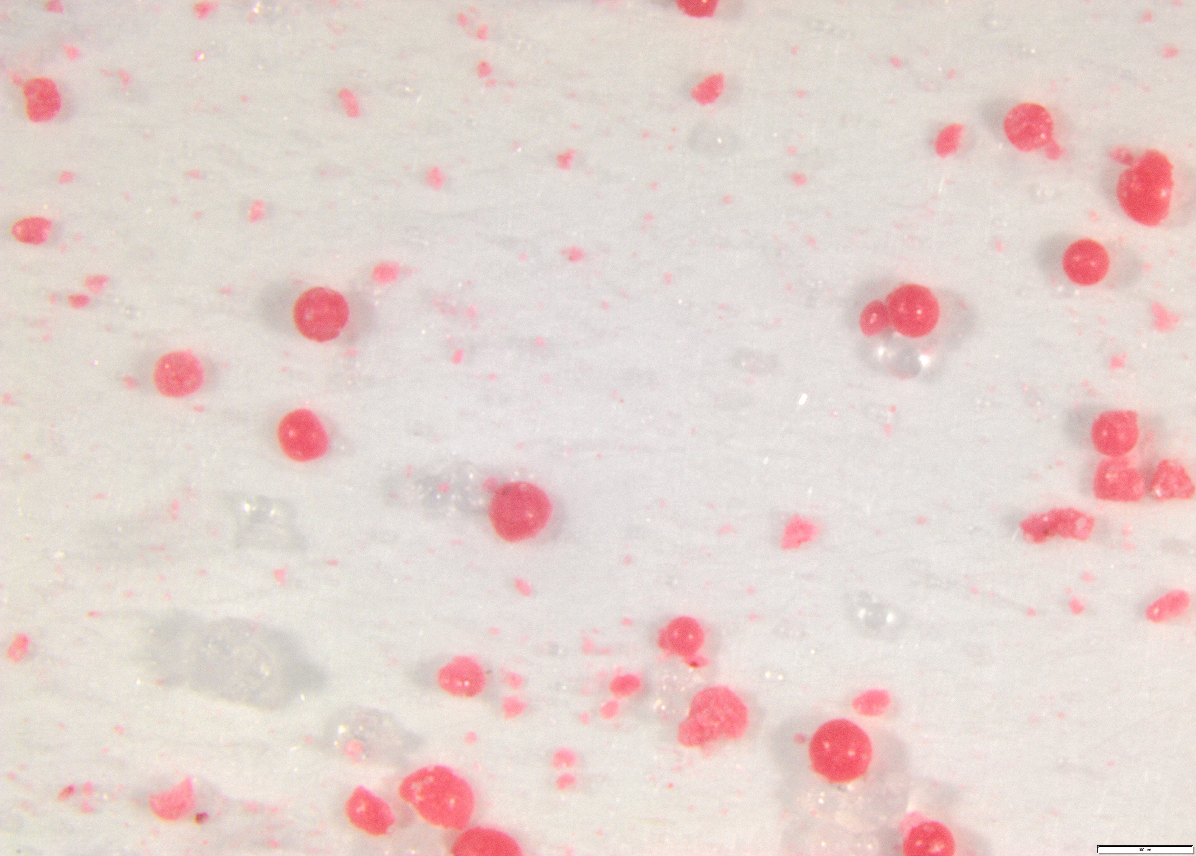 In einem Waschmittel vorhandene Mikroplastikkügelchen (Foto: Landesagentur für Umwelt und Klimaschutz)