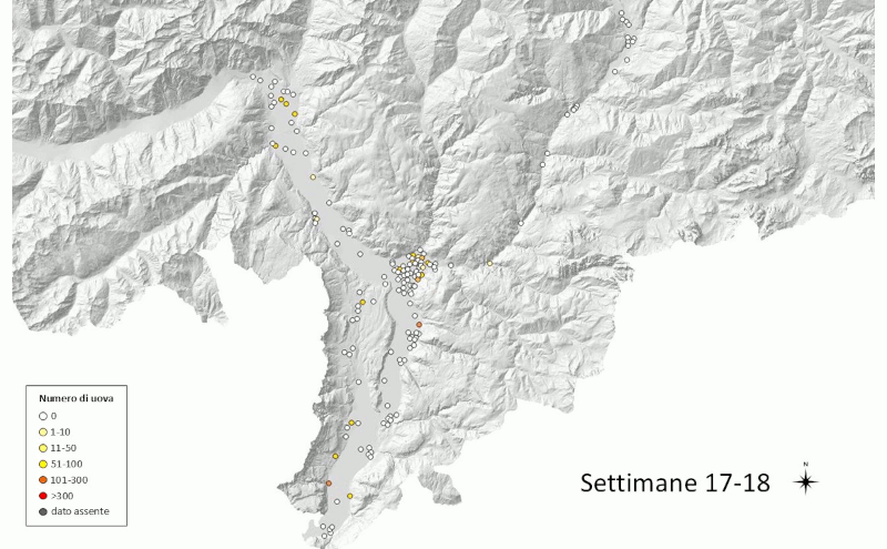 Monitoraggio della zanzara tigre 2026: uova rilevate (fonte: Agenzia provinciale per l'ambiente e la tutela del clima)