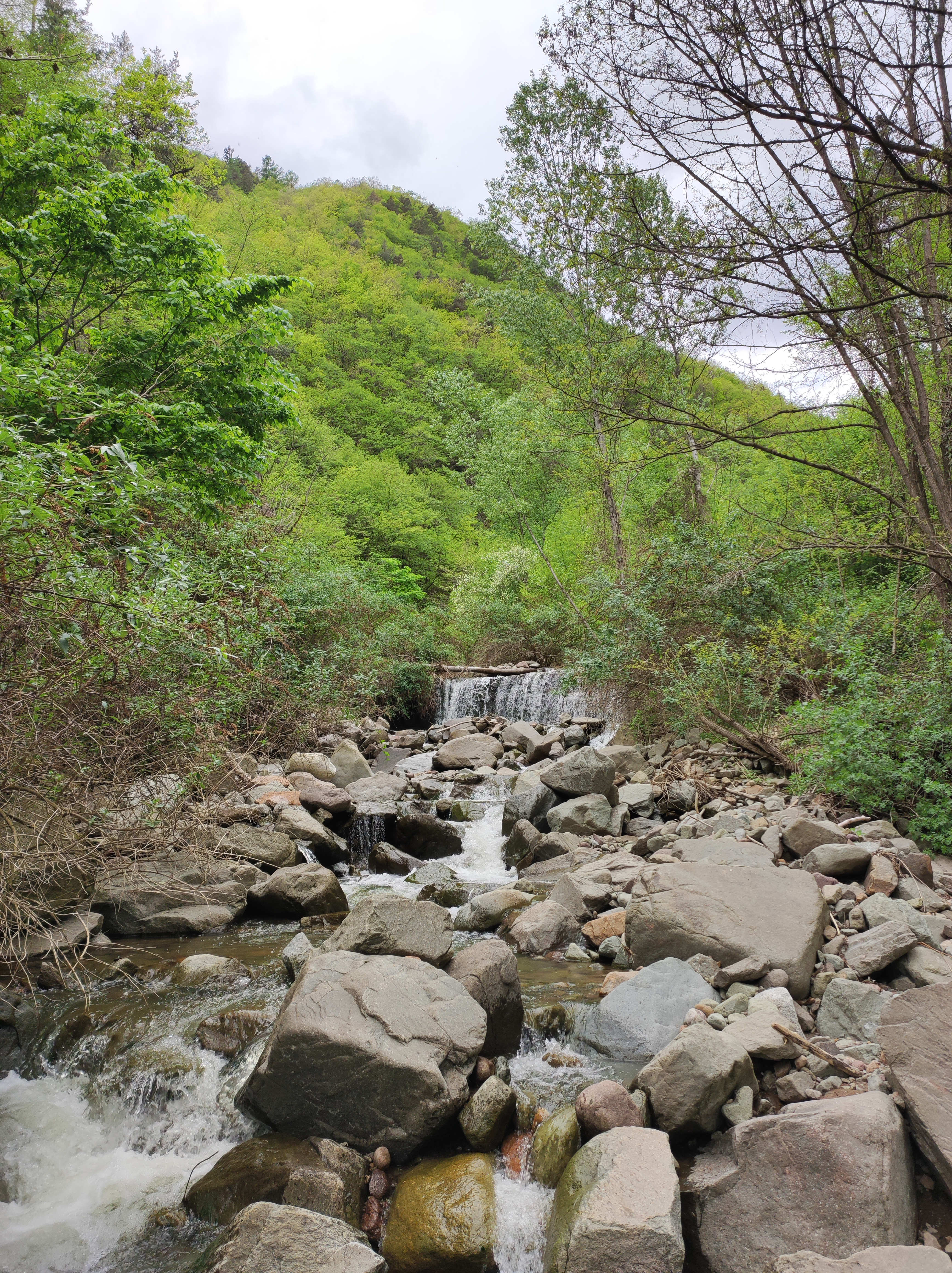 Atzwangerbach (Foto: Landesagentur für Umwelt und Klimaschutz)