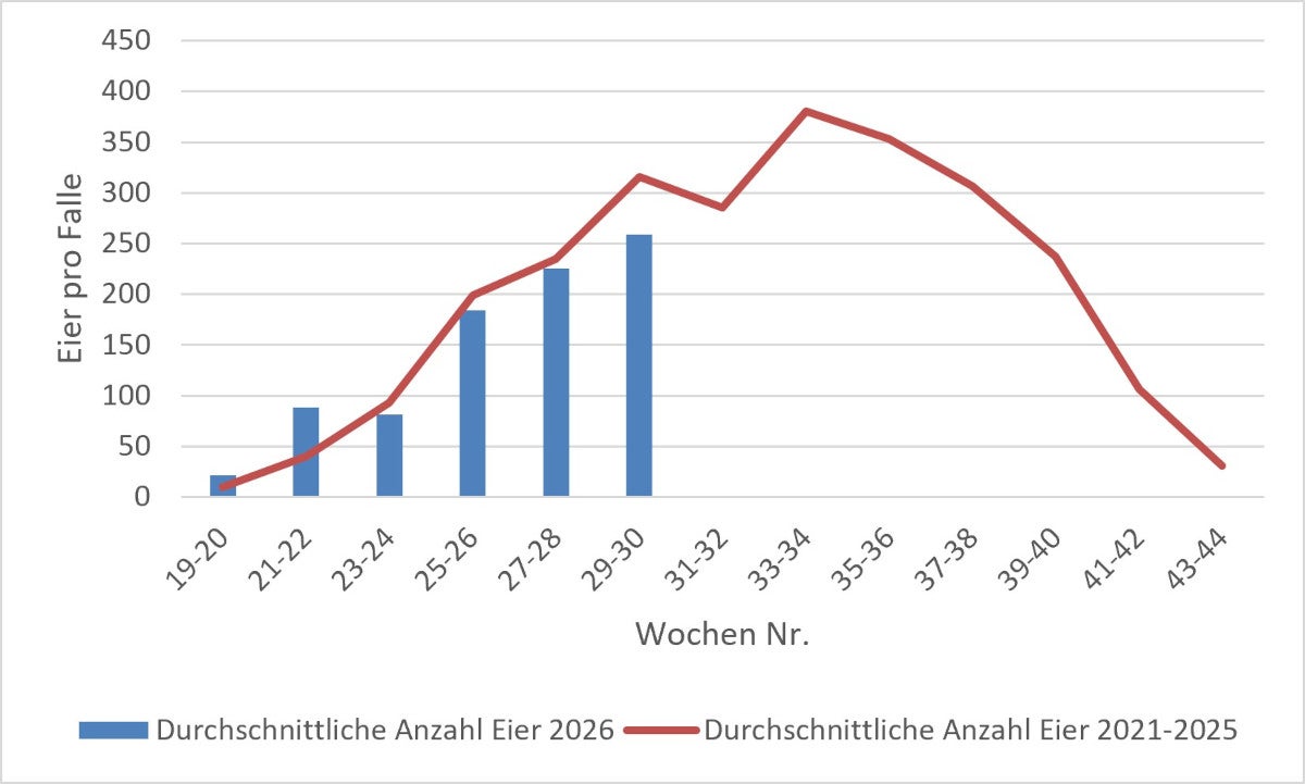Durchschnittswert der Tigermückeneier: Erhebung 2026 (Quelle: Landesagentur für Umwelt und Klimaschutz)