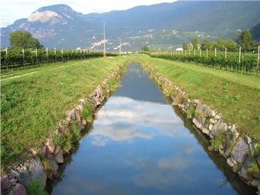 Fossa di Salorno (Foto: Agenzia provinciale per l’ambiente e la tutela del clima)