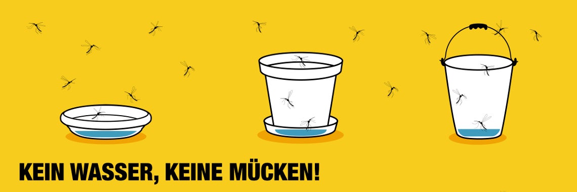 Kein Wasser, keine Mücken! Gemeinsam gegen die Tigermücke so lautet der Slogan der Vorsorgekampagne (Foto: Landesagentur für Umwelt und Klimaschutz/FrabiatoFilm)