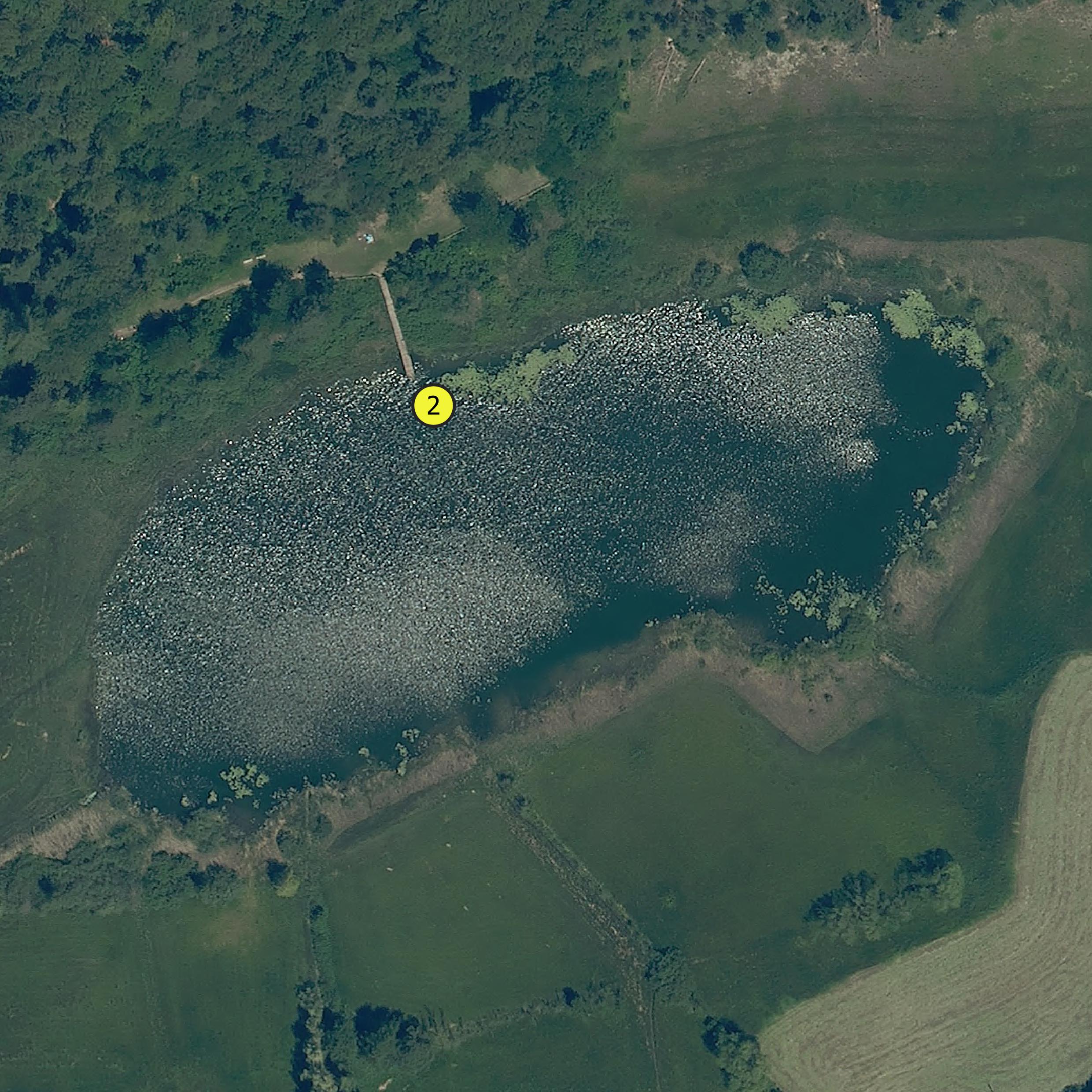 Monitoringpunkt Fennberger See (Foto: Landesagentur für Umwelt und Klimaschutz)