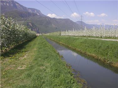Fossa dell'Adige (Foto: Agenzia provinciale per l’ambiente e la tutela del clima)