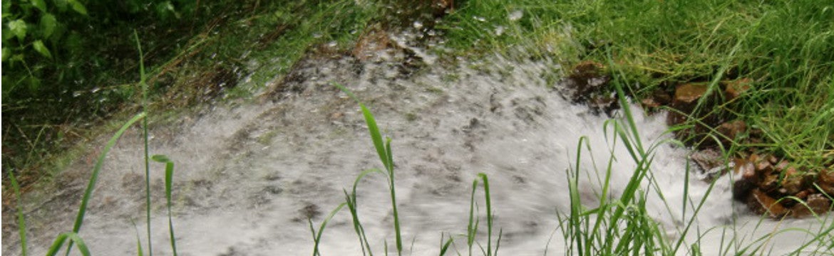 (Foto: Agenzia provinciale per l'ambiente e la tutela del clima)