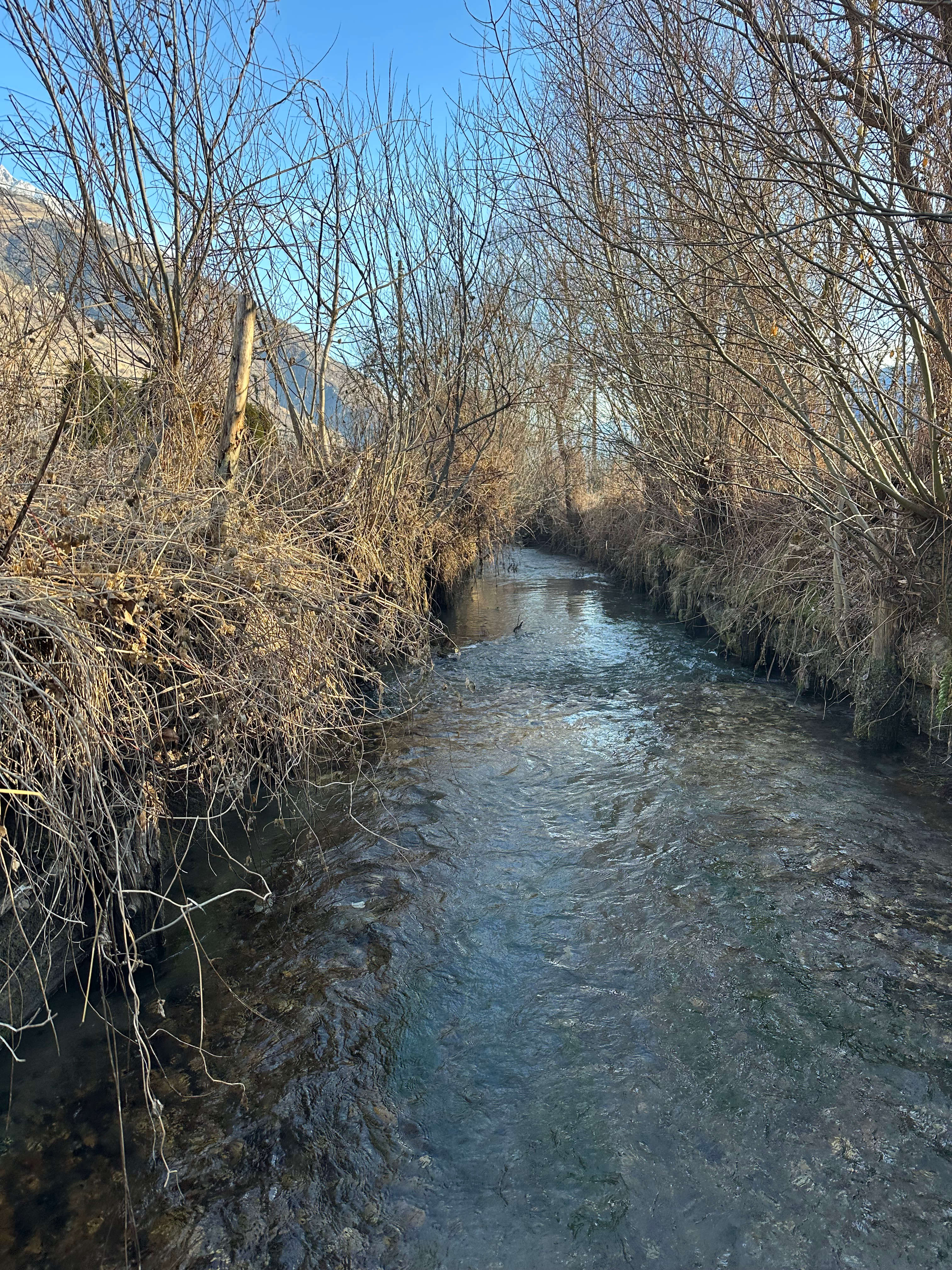Fossa di Sacco (Foto: Agenzia provinciale per l’ambiente e la tutela del clima)
