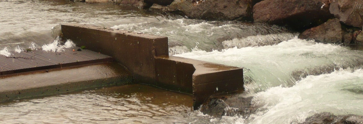Presa d'acqua con scala pesci (foto: Agenzia per l'ambiente e la tutela del clima)
