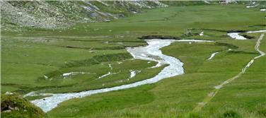 Corso d'acqua naturale (Foto: Agenzia provinciale per l'ambiente e la tutela del clima