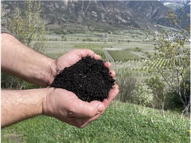 Nichts wird neu geschaffen, nichts geht verloren, alles wird umgewandelt: Wir verarbeiten organische Abfälle zu einer Ressource (Foto: Landesagentur für Umwelt und Klimaschutz)