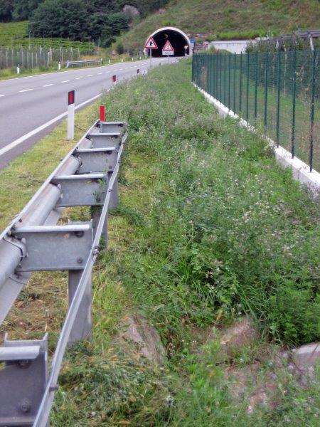 Mulden- und Rigolenversickerung
bei der
Umfahrungsstraße
St. Jakob