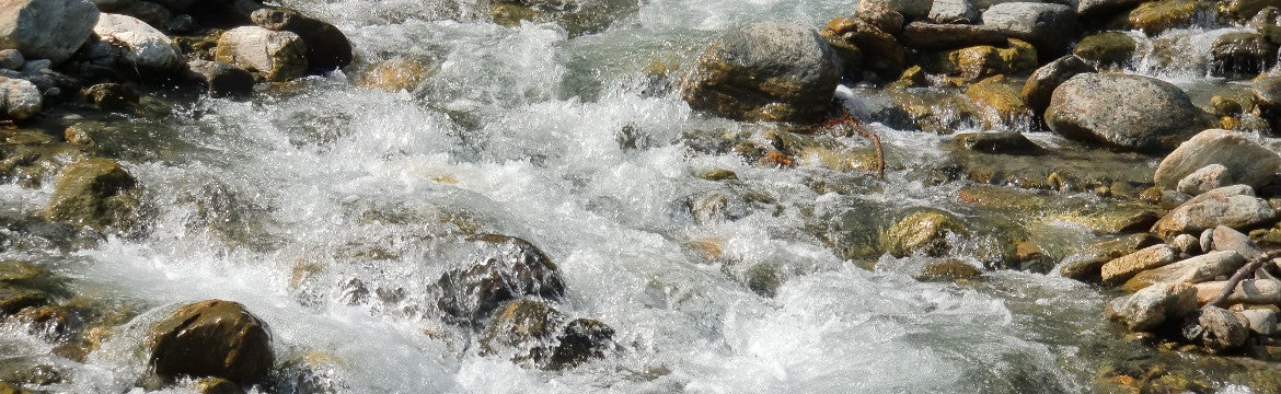 Wasserlauf (Foto: Landesagentur für Umwelt, Amt für nachhaltige Gewässernutzung, 2013)