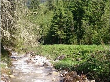 Afererbach (Foto: Landesagentur für Umwelt und Klimaschutz)