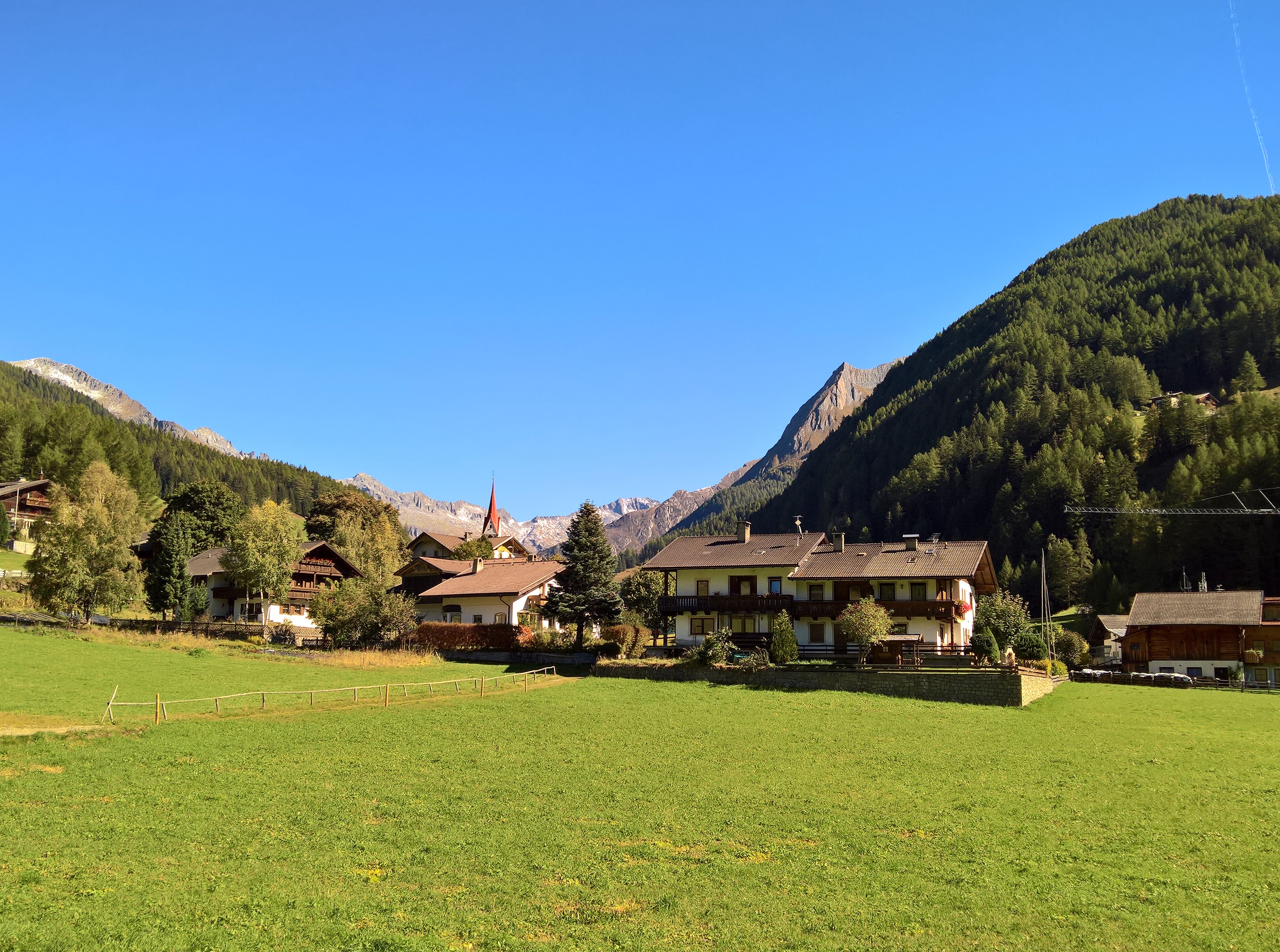 Fotogalerie Pollenfalle Prettau 