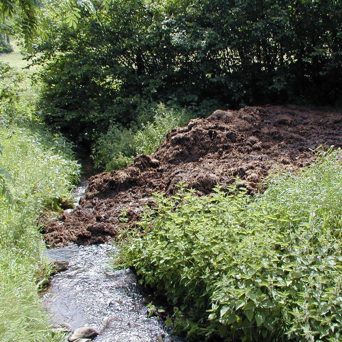 Lagerung von Mist im Oberflächengewässer (Foto: Landesagentur für Umwelt und Klimaschutz)