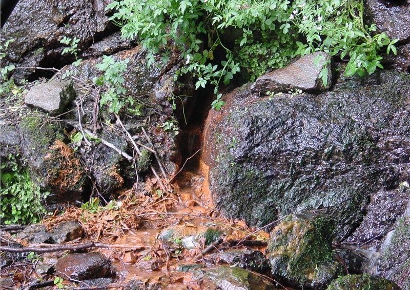 Bad Fallenbach - Nebenaustritt (Foto: Landesagentur für Umwelt und Klimaschutz)