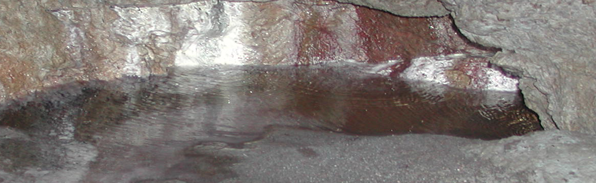 Mineralwasser entspringt aus dem Felsen (Foto Landesagentur für Umwelt und Klimaschutz, Amt für nachhaltige Gewässernutzung, 2012)