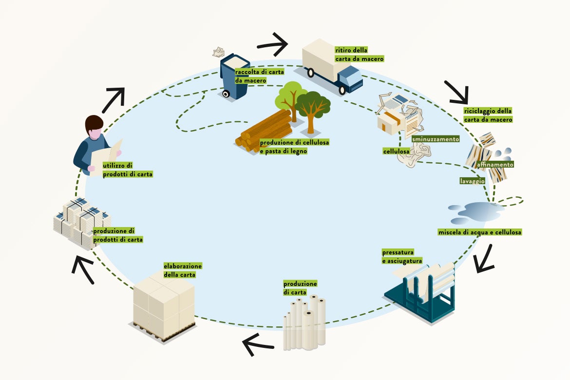 Il ciclo della carta è suddiviso in diverse fasi (© Effekt! GmbH)