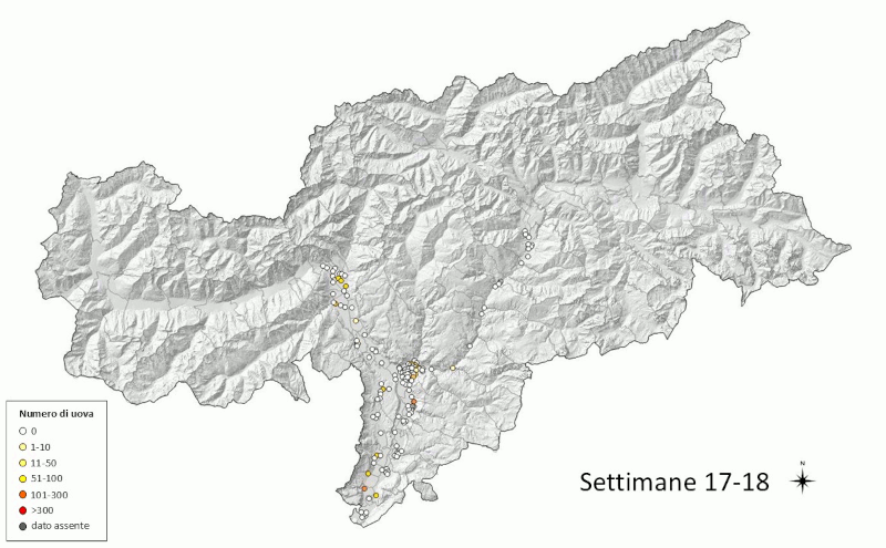 Monitoraggio della zanzara tigre 2026: uova rilevate (fonte: Agenzia provinciale per l'ambiente e la tutela del clima)
