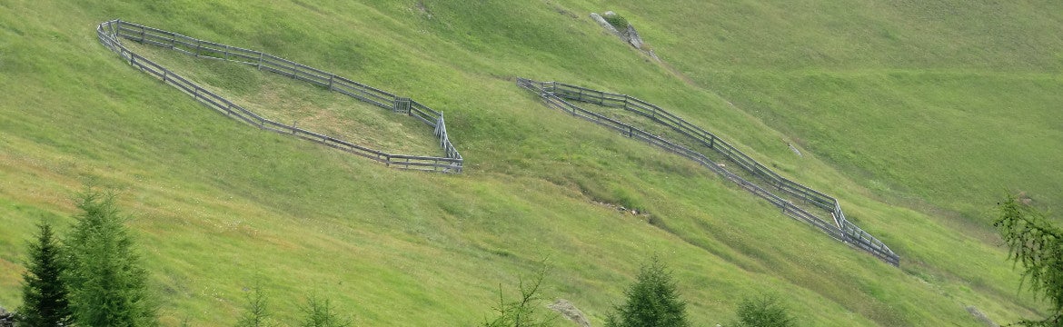 Trinkwasserschutzgebiet zum Schutz der Alfötschquellen (Foto:Landesagentur für Umwelt und Klimaschutz)