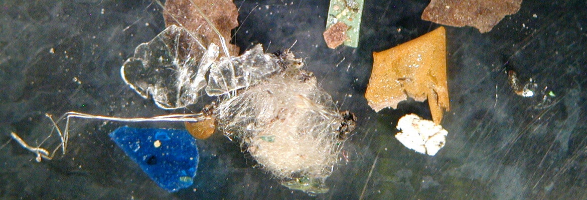 Mikrokunststoffen (Foto: Landesagentur für Umwelt und Klimaschutz)