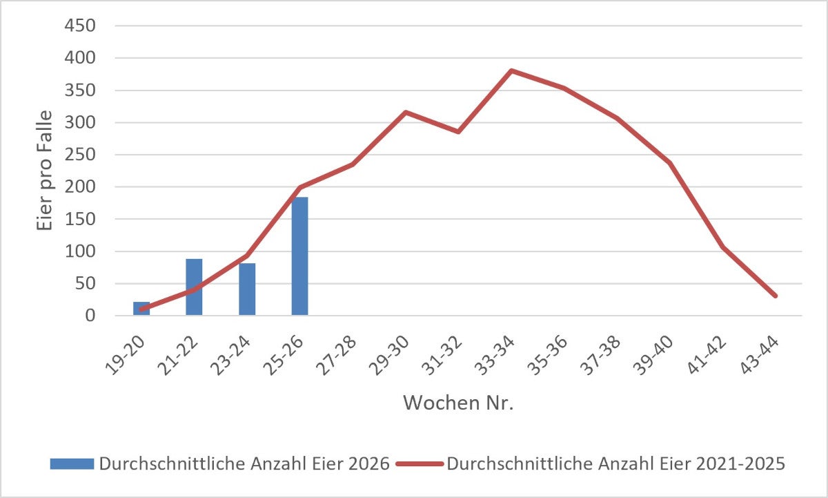 Durchschnittswert der Tigermückeneier: Erhebung 2026 (Quelle: Landesagentur für Umwelt und Klimaschutz)