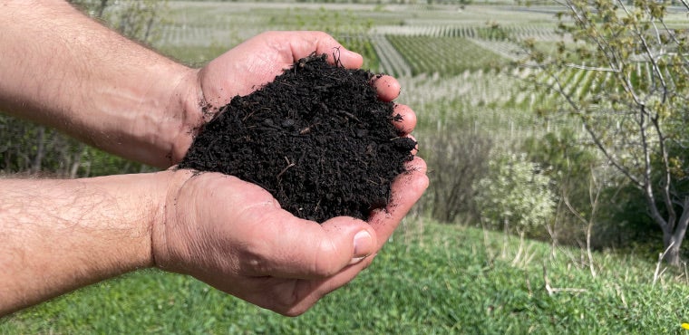 [Externer Link] Qualitätskompost aus organischen Abfällen: Wie wird er gewonnen?