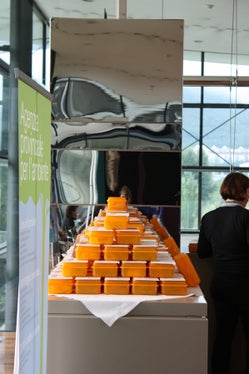 Ökopausa_1
