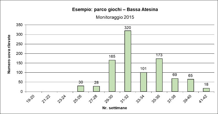 Numero uova di zanzara tigre rilevate presso il parco giochi. In seguito al trattamento con adulticida il numero di uova non si era abbassato ma aumentato da 101 a 137 uova entro pochi giorni dopo il trattamento (Foto: Agenzia provinciale per l'ambiente e la tutela del clima)