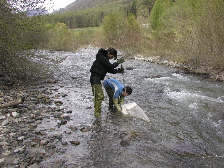 Makrozoobenthos - Beprobung des Makrozoobenthos (Foto: Landesagentur für Umwelt und Klimaschutz)