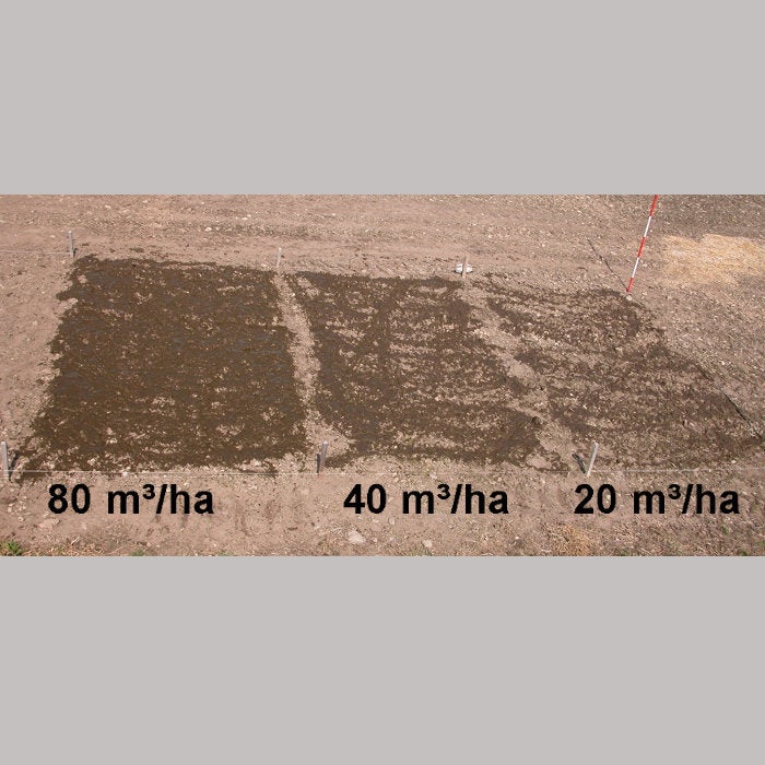 Unterschiedliche Düngungsgrade (Foto: Land- und Forstwirtschaftliches Versuchszentrum Laimburg, A. Kasal)