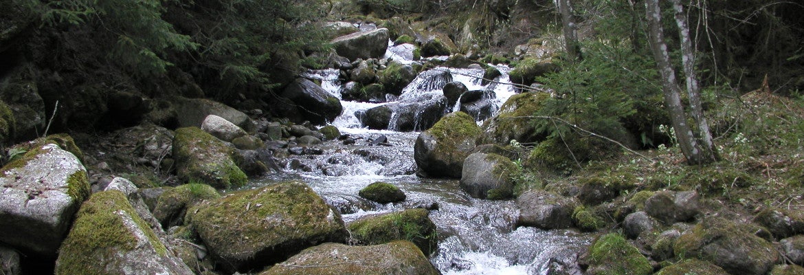Wasserlauf (Foto: Landesagentur für Umwelt und Klimaschutz)