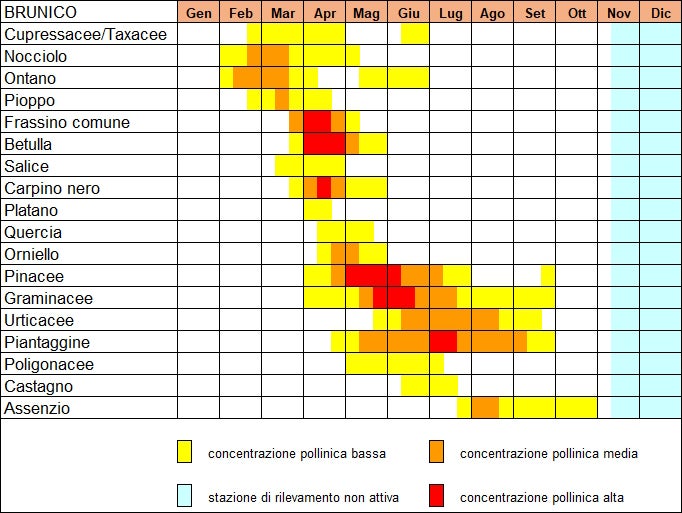 Calendario pollinico di Brunico (2016-2025) (fonte: Agenzia provinciale per l’ambiente e la tutela del clima)